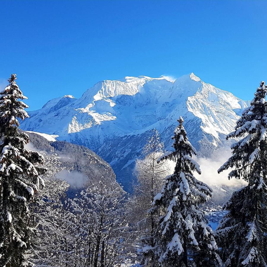 Appartement Saint Gervais Les Bains Vue Imprenable Mont Blanc エクステリア 写真